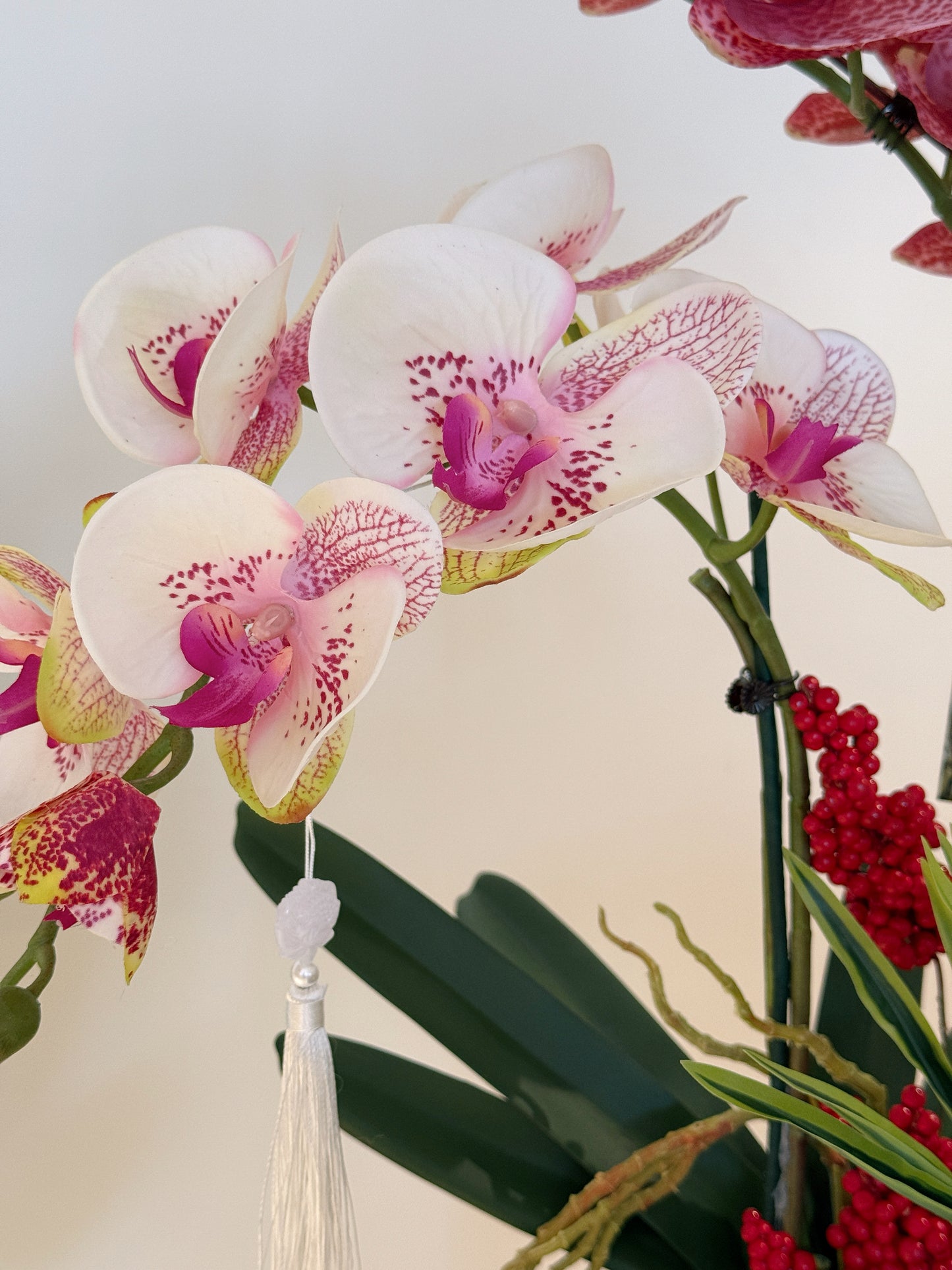 Orchid Echo
