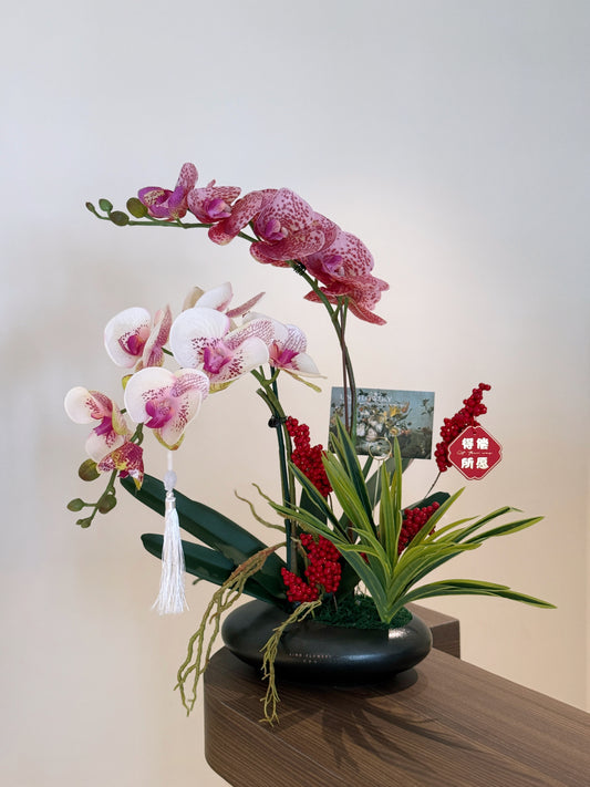 Orchid Echo